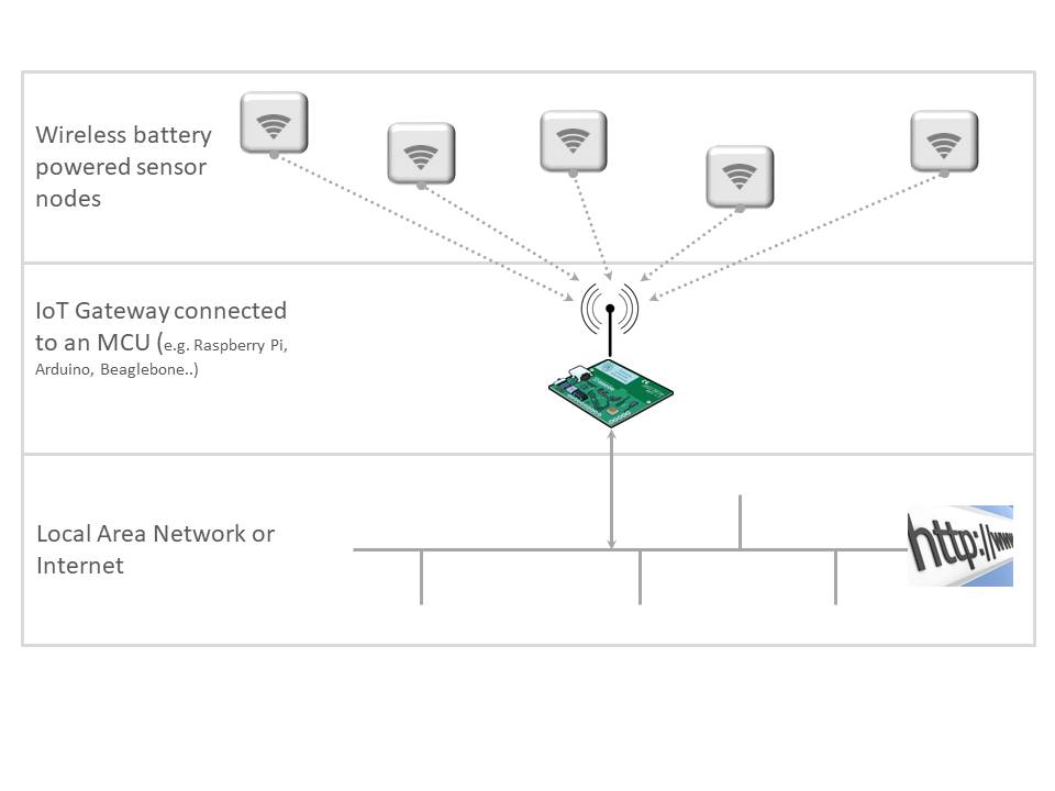 Star Network