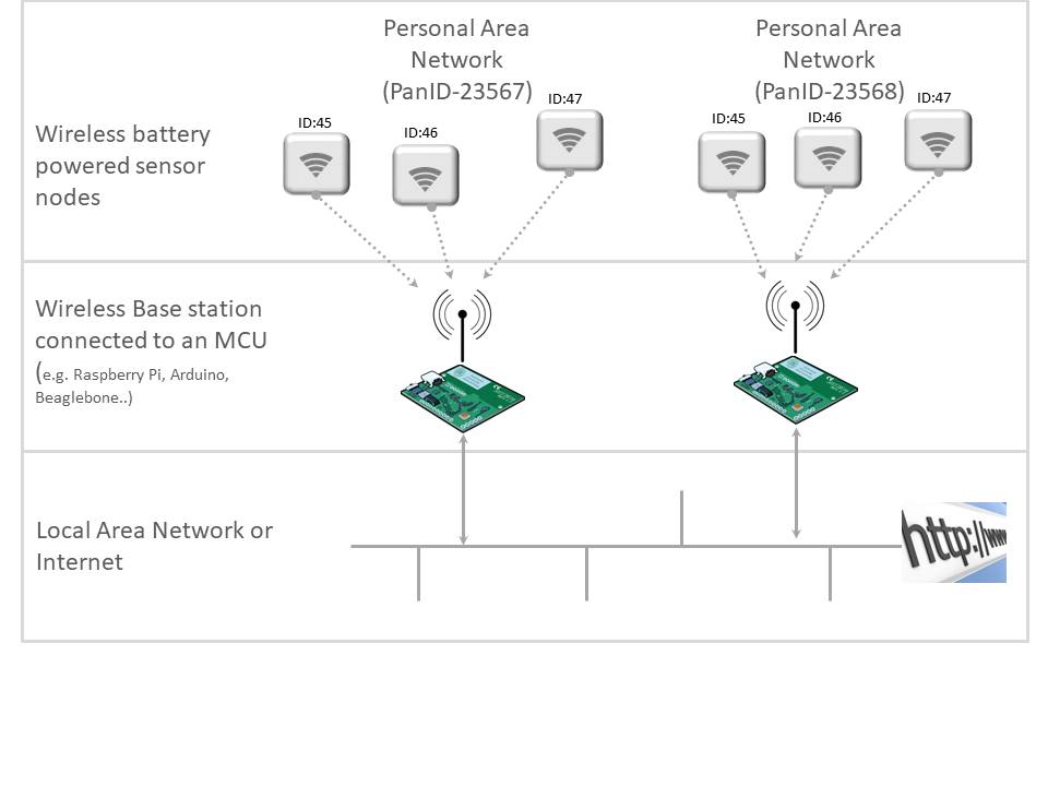 Multiple Star Networks