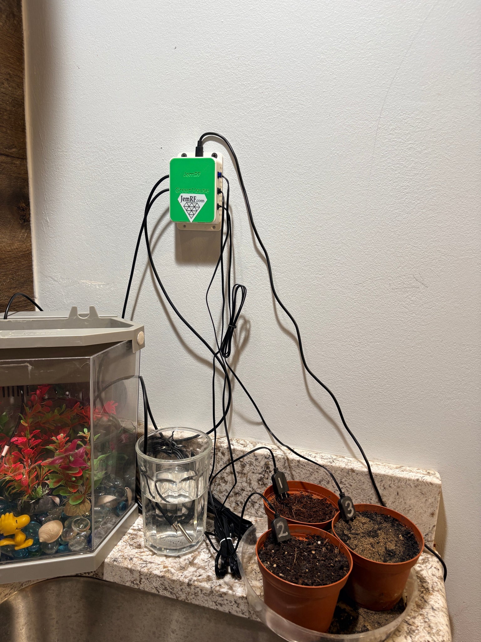 Green House Test Setup